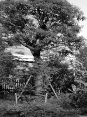 临汾注册公司